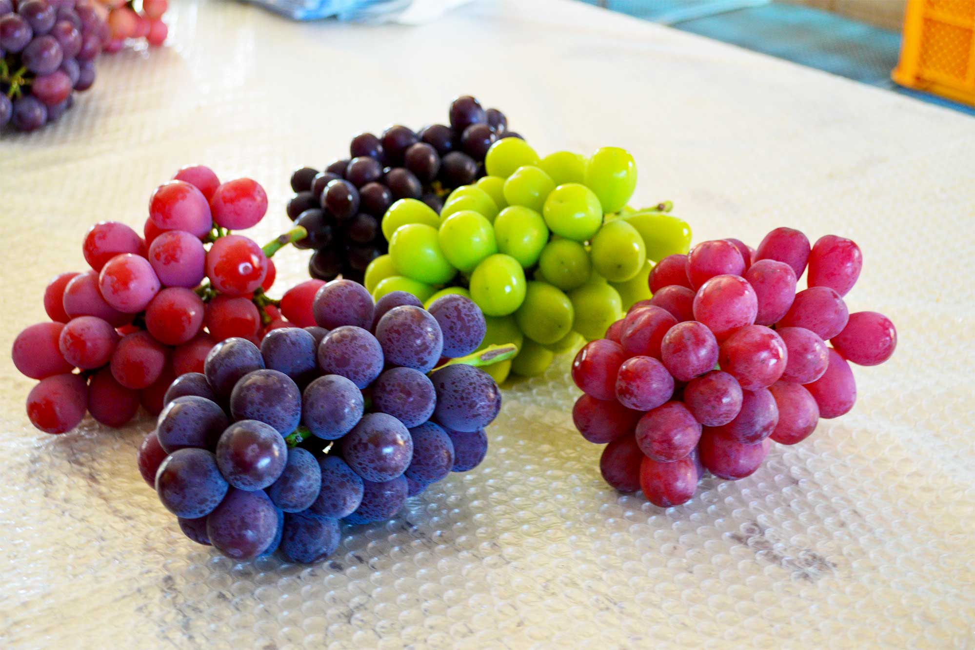 ぶどう